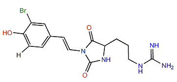 Parazoanthine G